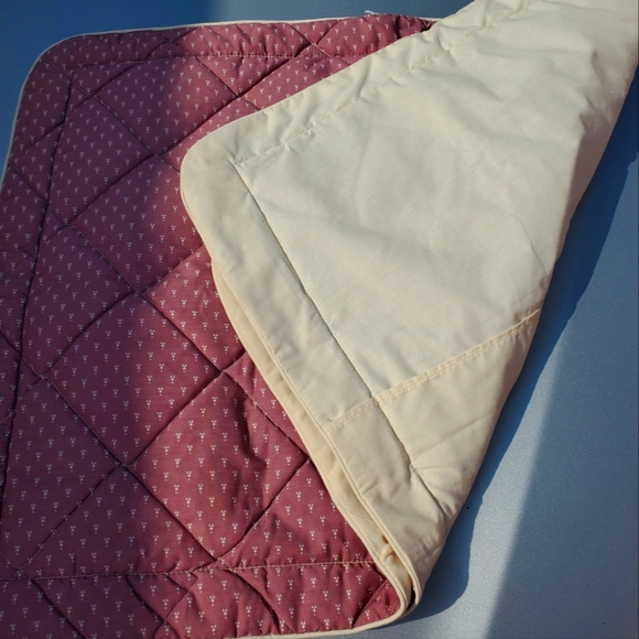 Shams - Picture 2 of 2